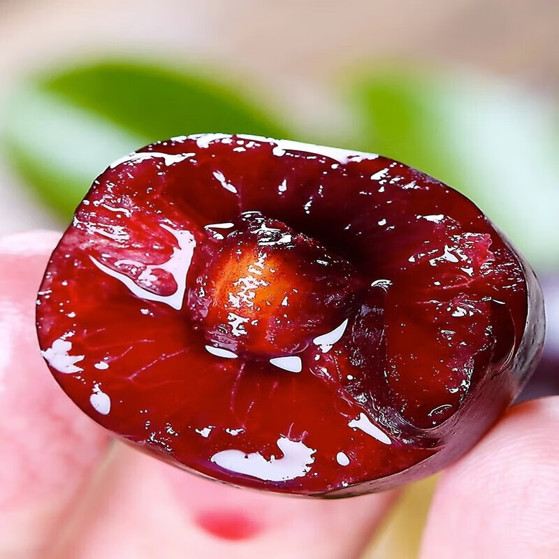 Fruity Life Gold Award Chilean cherry gift box, next-day delivery to many places, New Year's Day gift fruit gift box, 5 pounds (net weight), a must-have for family gift-giving, preferred large fruits, single fruit 6-8g