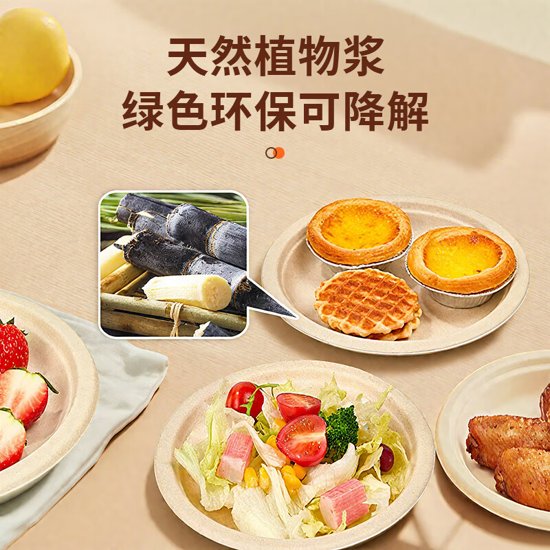Jie Ri Bang Disposable Dinner Plate 50 Pack Food Grade Sugarcane Pulp Dinner Bowl Plate Paper Plate Bowl Tableware Home Commercial
