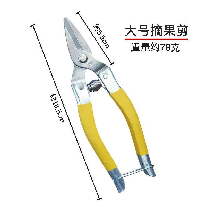 Vinoa A-grade Luoding fruit scissors, medium yellow, small yellow and thin fruit scissors, garden scissors, stainless steel fruit picking scissors, orange pruning pruning, vegetable and fruit scissors, large - 5 yellow Luoding fruit picking scissors