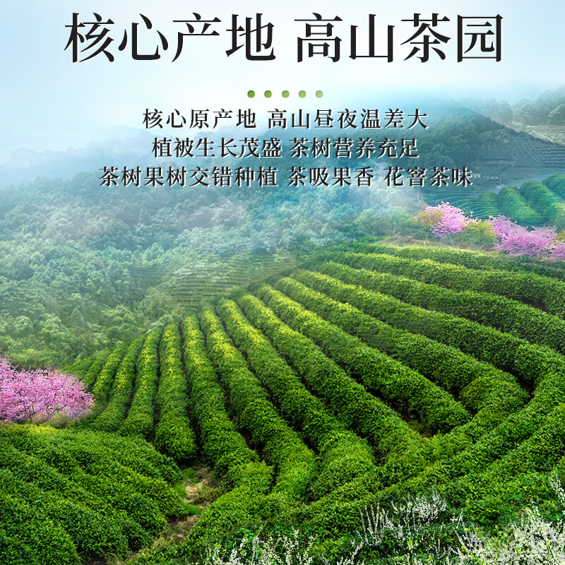 A cup of fragrant tea leaf green tea Mingqian Biluochun 250g 2025 new tea gift box gift for self-drinking tea bag