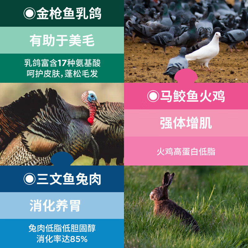 LEGENDSANDY Canned Cat Snacks High Meat High Nutrition Full Price Staple Food Meal Pack Cat Rice Mixed Flavor 50g*18 Pack