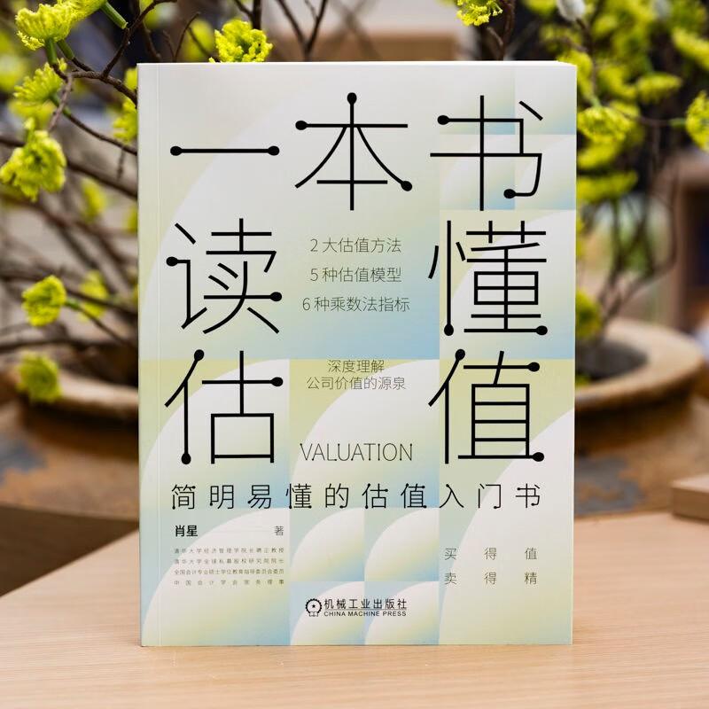 A book to understand valuation