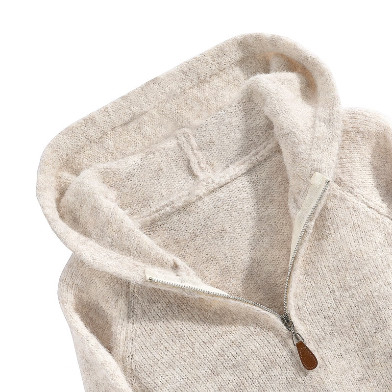 Sibaishe hooded long-sleeved sweater for women 2025 winter new fashion simple soft waxy loose casual top