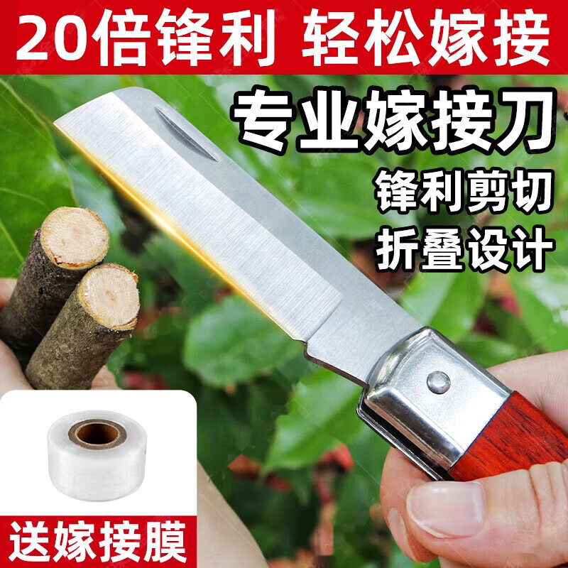 JCZS German quality foldable grafting special knife fruit tree film tool large tree grafting tree frame grafting manual knife + 3cm grafting straight grafting knife