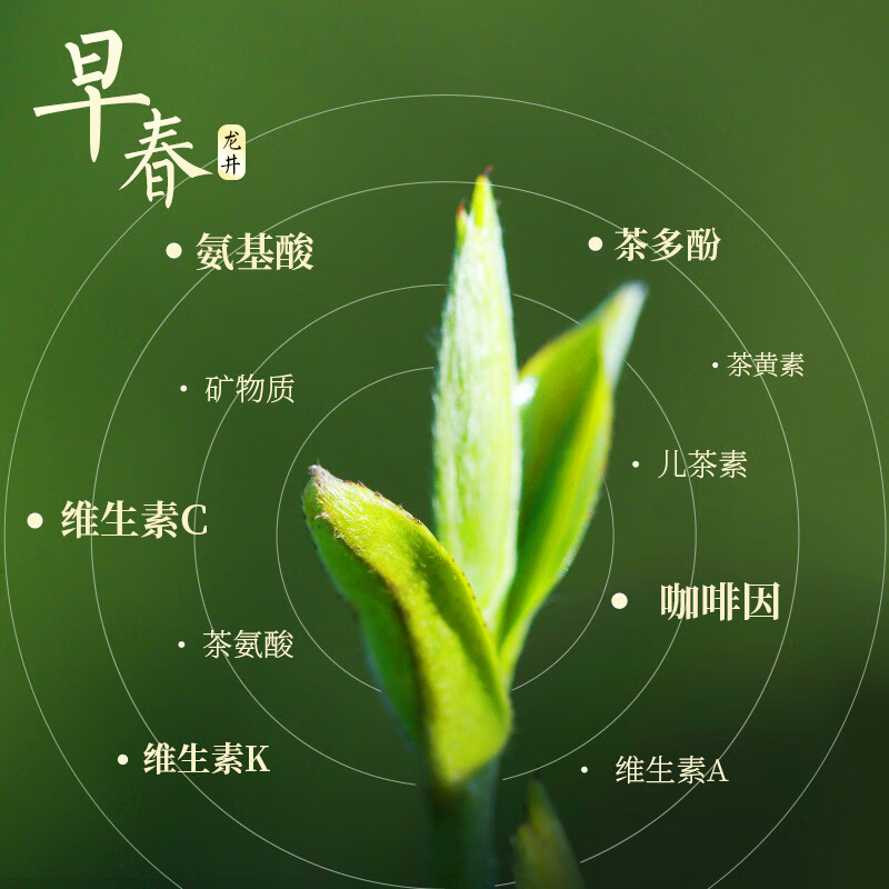 Tianfu Tea Longjing Tea Zhejiang Green Tea 2025 New Tea Early Spring Green Tea 100g Canned