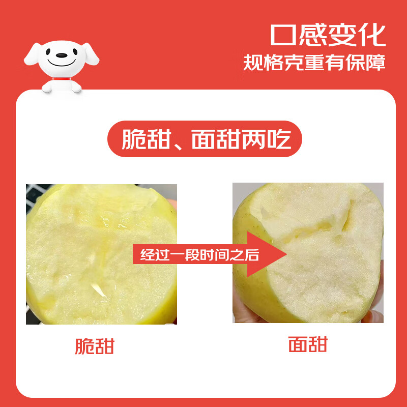 Jingxiansheng Shandong Yantai Huang Yuanshuai apples are sour and sweet. Net weight is 8.5 pounds. Single fruit is 75-80mm. Directly shipped from the source. Free shipping.