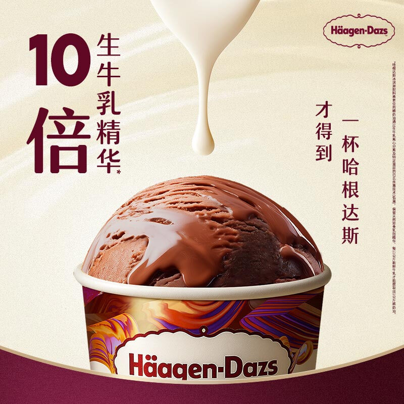 Haagen-Dazs Belgian chocolate flavored vat ice cream 473ml family size