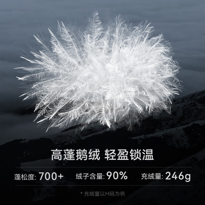 KAILAS Kailer Stone Montana Down Jacket 700 Puff Goose Down Graphene Warm FILTERTEC Windproof Ski Jacket for Men