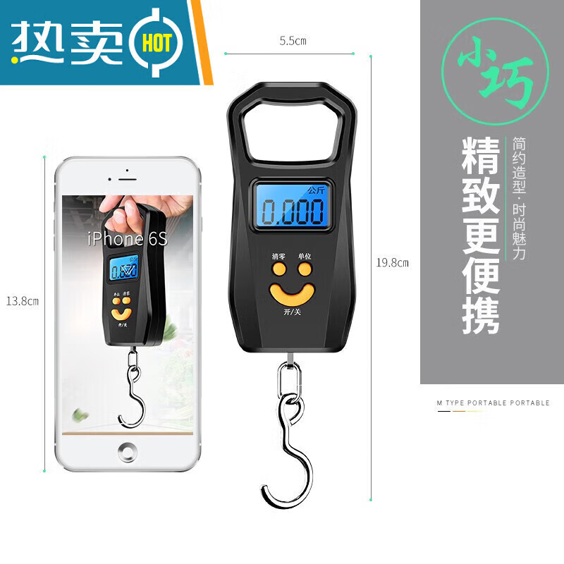 He Jiagong Japan imported quality mini portable spring scale household small scale portable electronic scale 50 portable high-precision home battery model without accessories