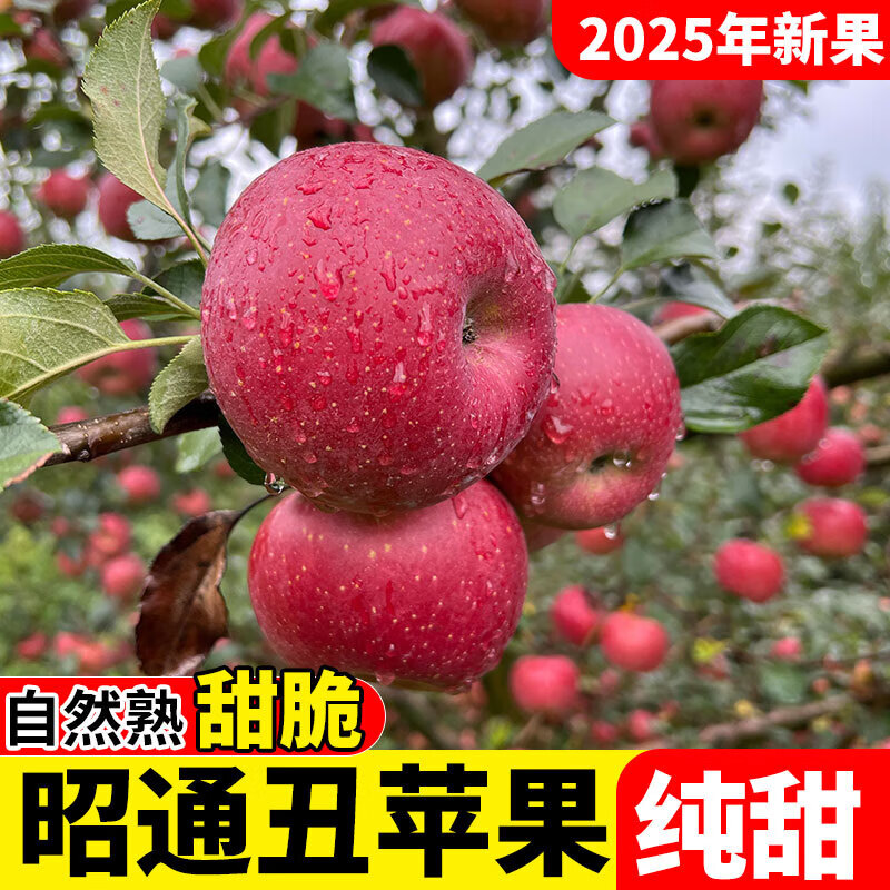 25-year-old Yunnan Zhaotong Ugly Apple Rock Candy Heart Authentic Gift Box Fresh Apple Fruit Seasonal Whole Box Flat Fruit 1 catties Small Fruit (60-70mm)