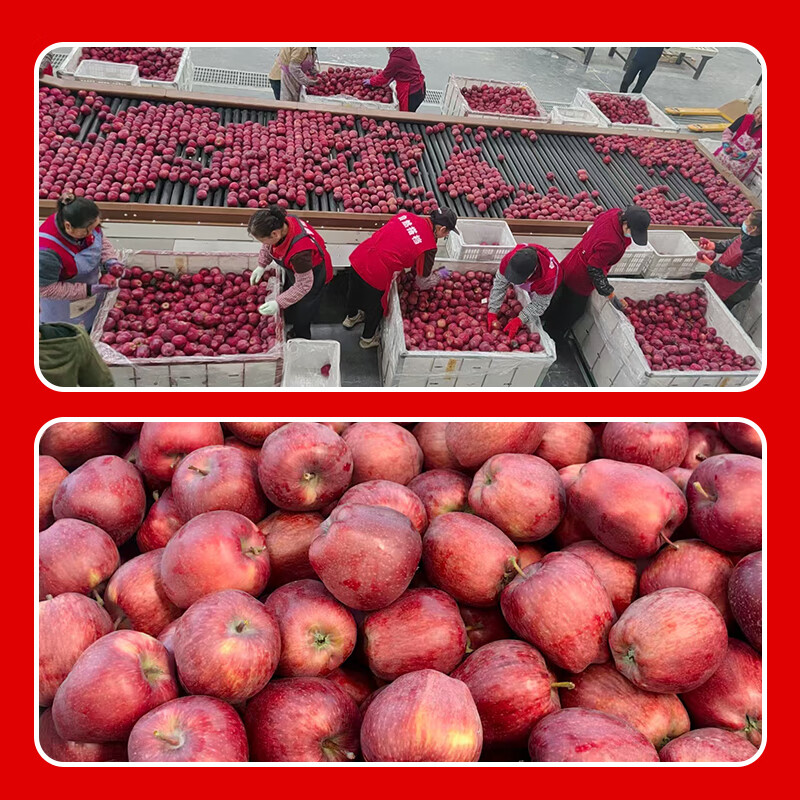 Jingxiansheng Gansu Tianshui Huaniu apples are big and red. Net weight is 3 catties. Single fruit is 170g+. Straight from the source.