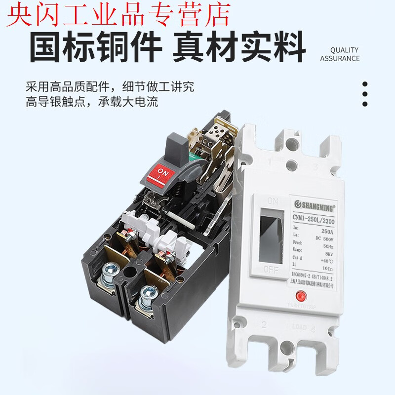Shanghai People's DC air switch molded case circuit breaker 2P125A200A250ADC500V 2P 100A
