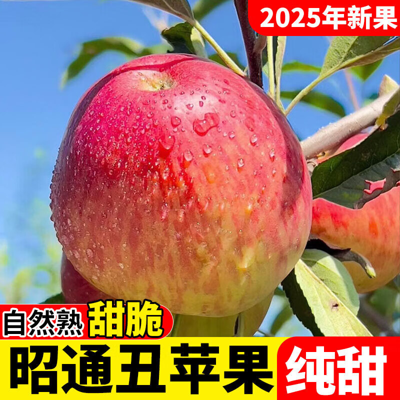 25-year-old Yunnan Zhaotong Ugly Apple Rock Candy Heart Authentic Gift Box Fresh Apple Fruit Seasonal Whole Box Flat Fruit 1 catties Small Fruit (60-70mm)