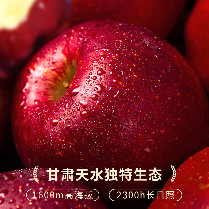 Jingdida Gansu Tianshui Huaniu apple, net weight 4.5 catties, single fruit 210g, pink apple noodles, apples shipped directly from the source, free shipping