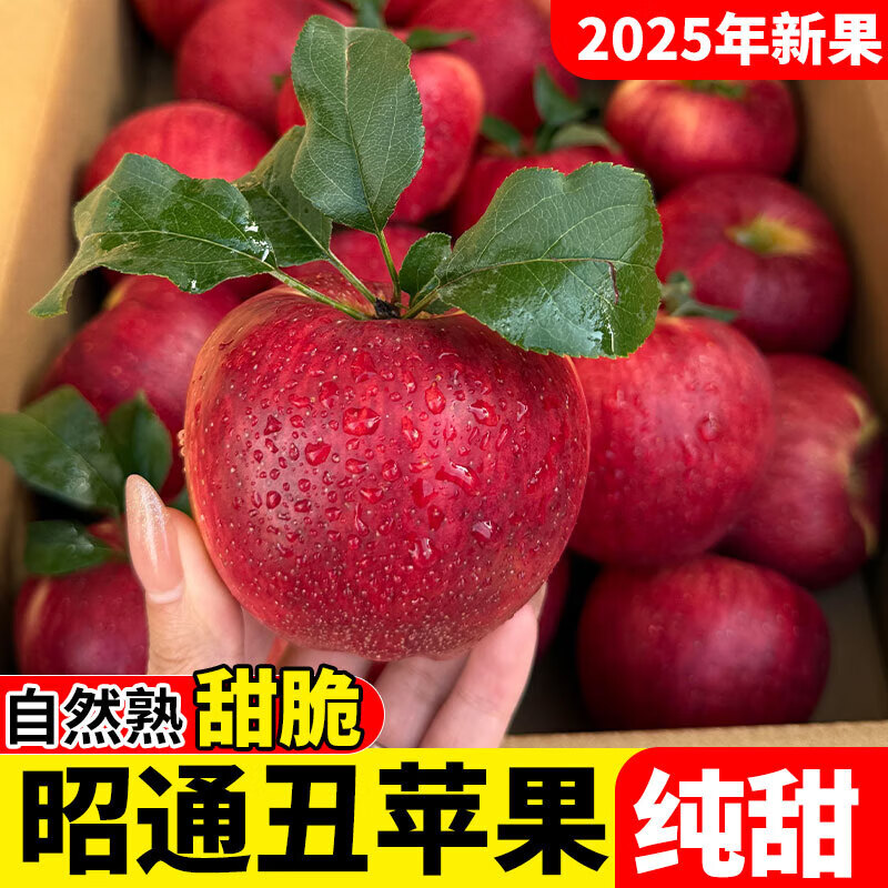 2025 Authentic Yunnan Zhaotong Rock Candy Apple Fresh Fruit Apple Seasonal Crisp Sweet Fruit Origin Straight Hair 9 Jin Pack Medium Fruit (70-80mm)