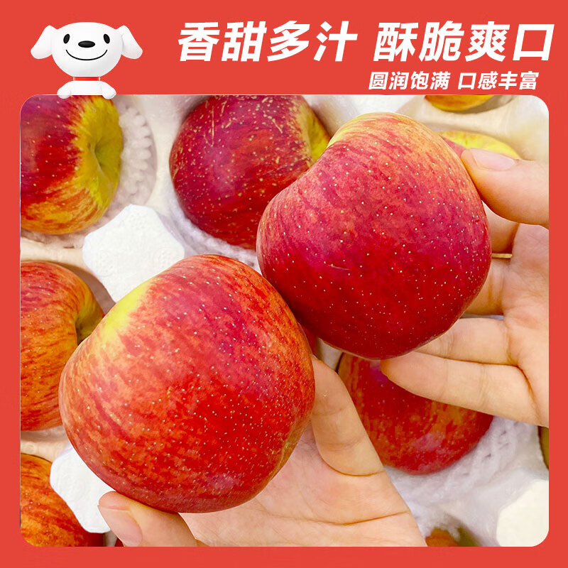 Jingxiansheng Yunnan Zhaotong Red General Apple, net weight 5 pounds, single fruit 80mm + fresh fruit, direct delivery from the source, free shipping
