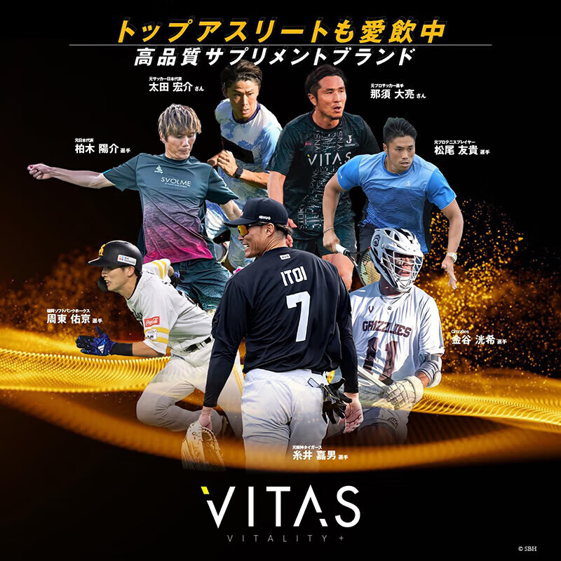 VITAS Japan imported zinc maca 11 kinds of multivitamins folic acid supplement zinc VB family maga men's nutritional essence 1 bag (120 capsules/bag)