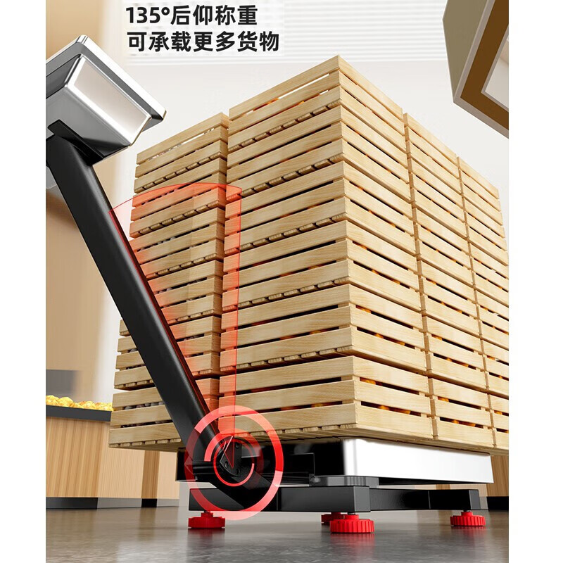 Zhizun (ZHIZUN) weighing electronic scale, commercial scale, stall business, waterproof platform scale, weighing aquatic products and seafood pricing scale, folding scale