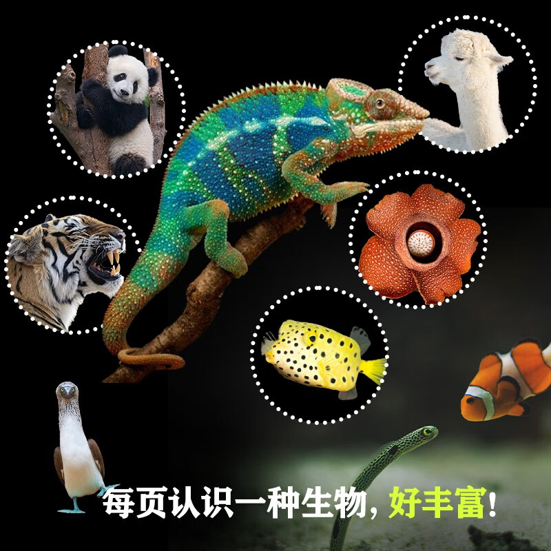 Children's documentary on paper, edited by Little Nature/Polka Dot Children's Fun