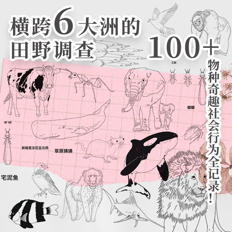 The survival philosophy of animal society explores the mysteries of conflict, betrayal, cooperation and prosperity