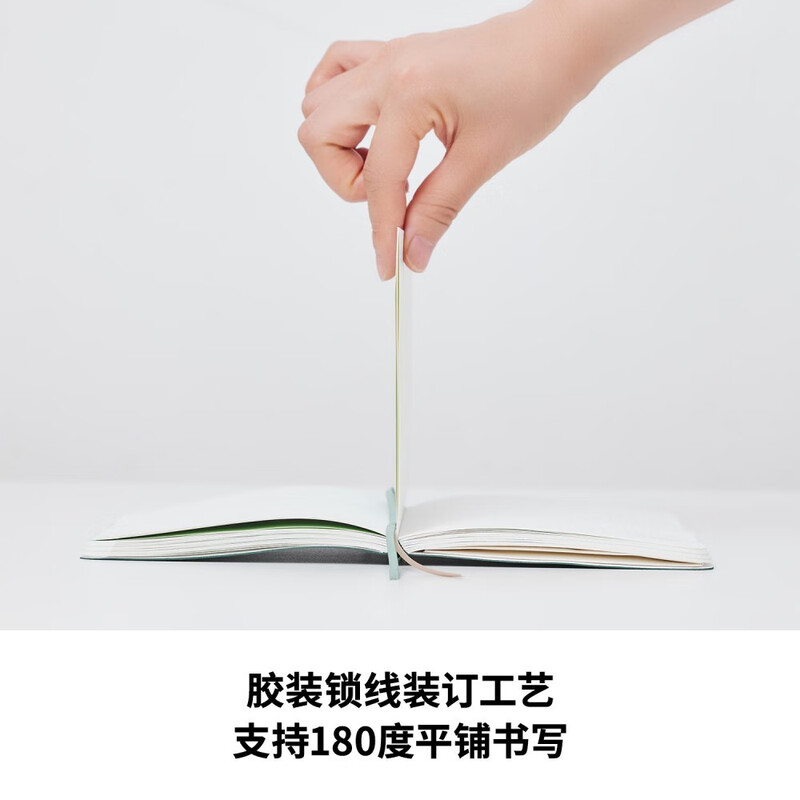 Douban 2026 Schedule - Efficiency Manual 365-day Planner Time Management Planner Daily Diary Notepad One Page a Day Self-Discipline Check-in