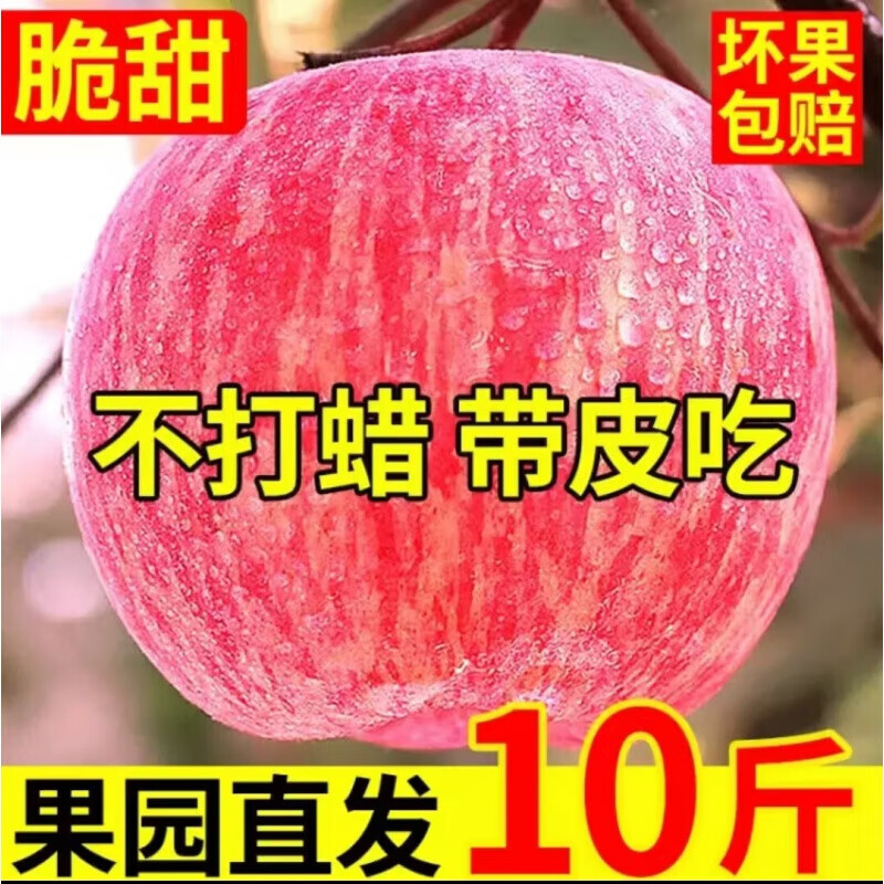 West Shaanxi Yan'an Luochuan Red Fuji 10 catties packed apple fresh fruit crisp sweet seasonal fruit seasonal fresh fruit with box 5 catties large fruit