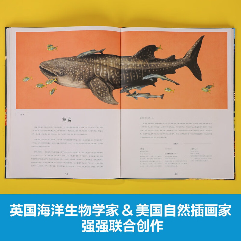 Museum of Miracles Series Ocean Museum Fun 7-year-old + Children's Popular Science Encyclopedia Primary School Students Extracurricular Reading Book Revealing the Secrets of Marine Animals