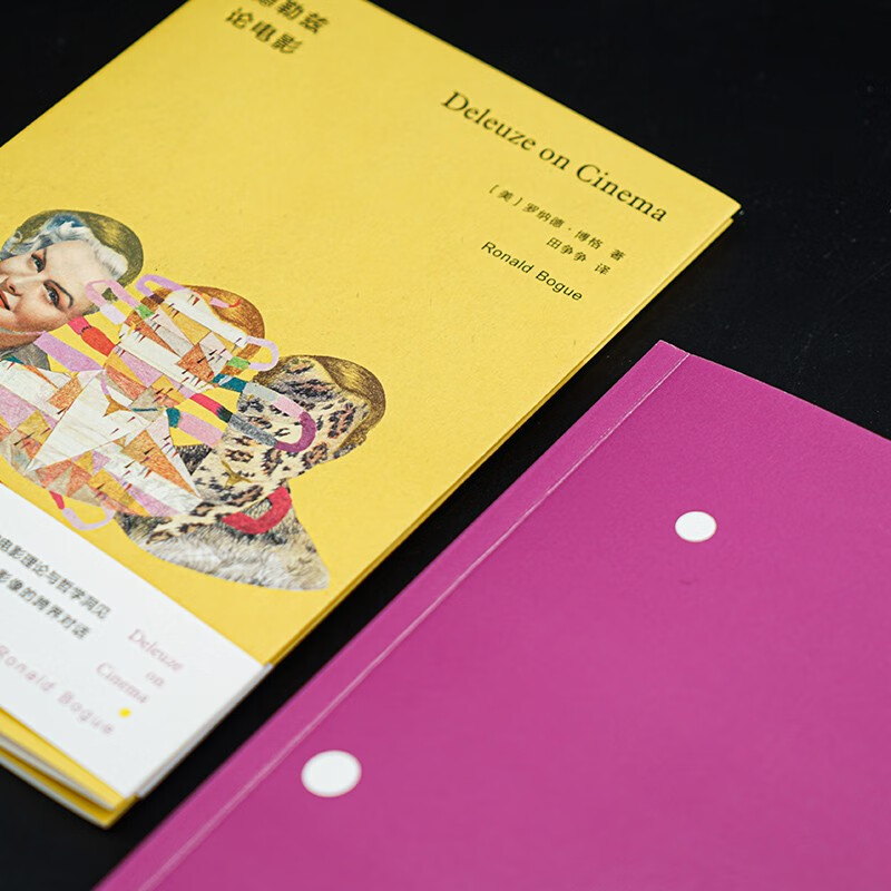 Deleuze on Film Watchmen Mirror and Lamp Series 2025 Douban Annual Reading List