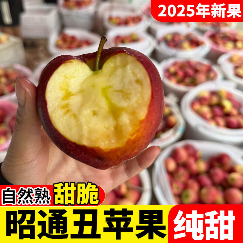 2025 Authentic Yunnan Zhaotong Rock Candy Apple Fresh Fruit Apple Seasonal Crisp Sweet Fruit Origin Straight Hair 9 Jin Pack Medium Fruit (70-80mm)