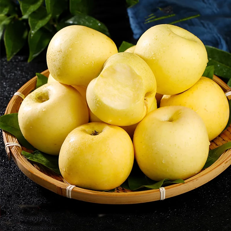 Beijing Fresh Shandong Cream Fuji Apple, net weight 5 pounds, single fruit 85-90mm, fresh fruit, direct shipping from the source, free shipping