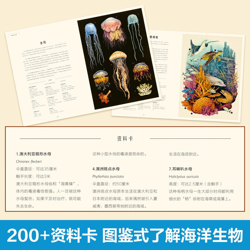 Museum of Miracles Series Ocean Museum Fun 7-year-old + Children's Popular Science Encyclopedia Primary School Students Extracurricular Reading Book Revealing the Secrets of Marine Animals