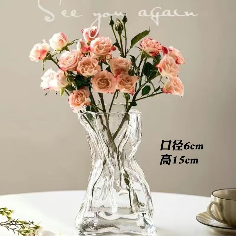 IXJSN high sense simple creative irregular vase transparent glass living room desktop flower arrangement water support ins decorative ornaments special-shaped money bag transparent