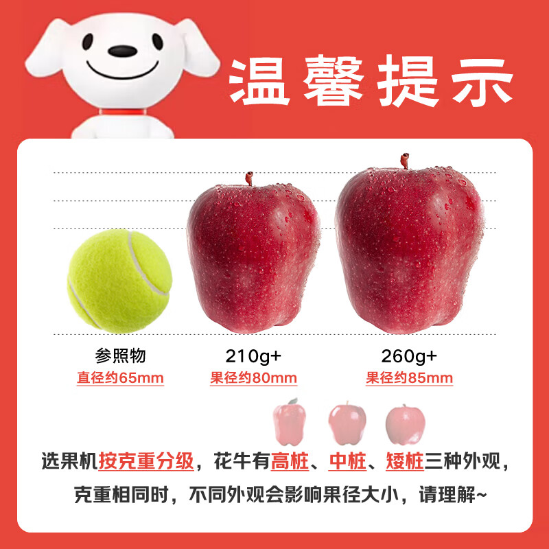 Jingxiansheng Tianshui Huaniu Apple, net weight 4.5kg, single fruit 260g+, fresh fruit straight from the source