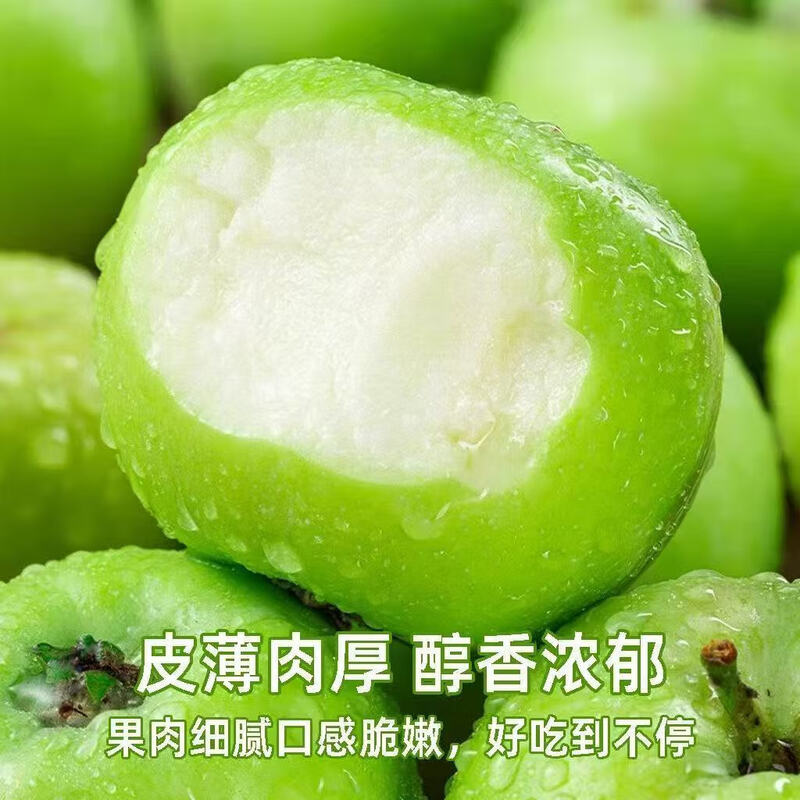 Shandong fresh green apple fruit, full box jin, seasonal green apples, free shipping, seasonal sour and crispy Ugly Pingping fruit for pregnant women, 4 jin in box (60-70mm)