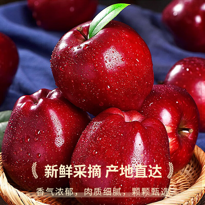 Jingdida Gansu Tianshui Huaniu apple, net weight 4.5 catties, single fruit 210g, pink apple noodles, apples shipped directly from the source, free shipping