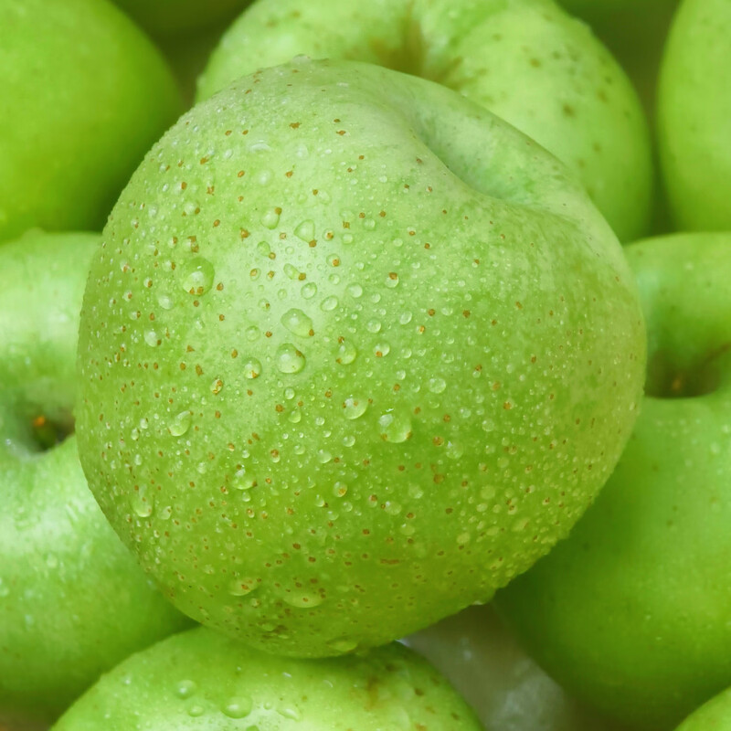 Jingxiansheng Shandong Aomori Wanglin Apple Net Weight 4.5 Jin Single Fruit 170g + Fresh Fruit Straight from the Source