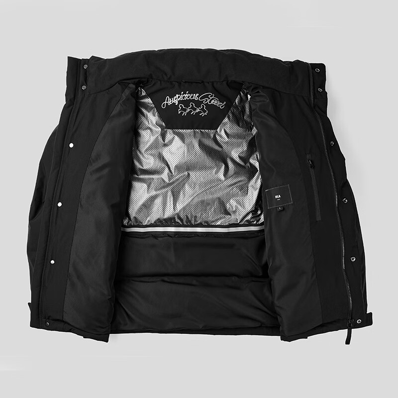 HLA Hailan House Down Jacket Men's 25 Year of the Horse New Year Series Stand Collar Jacket Men's Winter