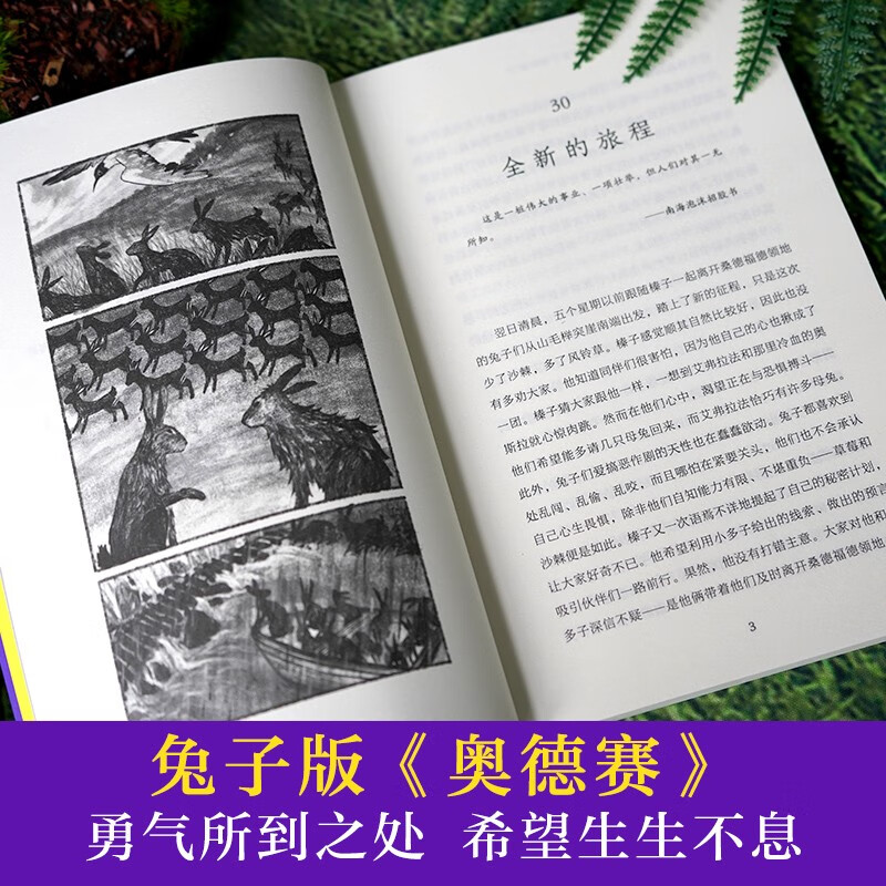 Ivy International Award-winning novel Rabbit Republic, 2 volumes, a must-read for primary and secondary school students in grades 3, 4, 5 and 6, an extracurricular reading of the International Children's Literature Award classics that affects children's lives.