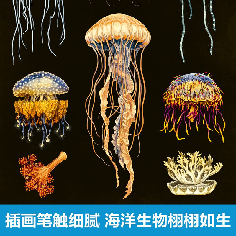 Museum of Miracles Series Ocean Museum Fun 7-year-old + Children's Popular Science Encyclopedia Primary School Students Extracurricular Reading Book Revealing the Secrets of Marine Animals