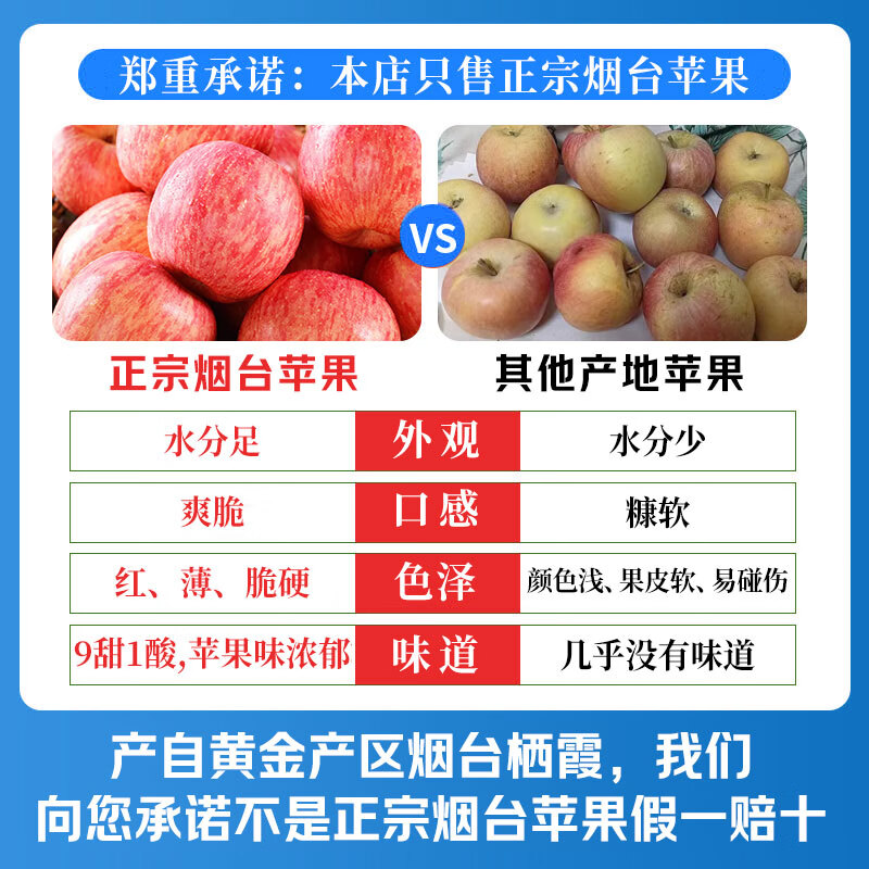 Jingdida Yantai Qixia Red Fuji apple net weight 4.5 catties large fruit 250g fresh fruit direct from the source with free shipping