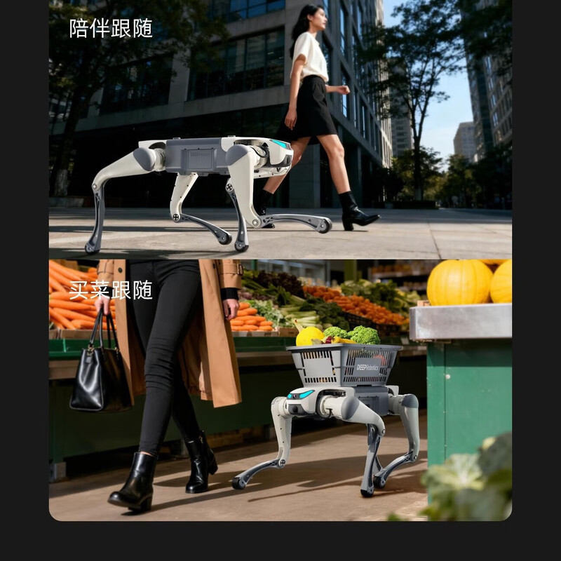 Miss Dolphin Cloud Deep Technology Lite3 Education and Research Intelligent Quadruped Robot Scenic Area Guide Machine Electronic Dog Mechanical Dog Electronic Pet Dog Automatically Follows Remote Control Robot Dog Laser Version