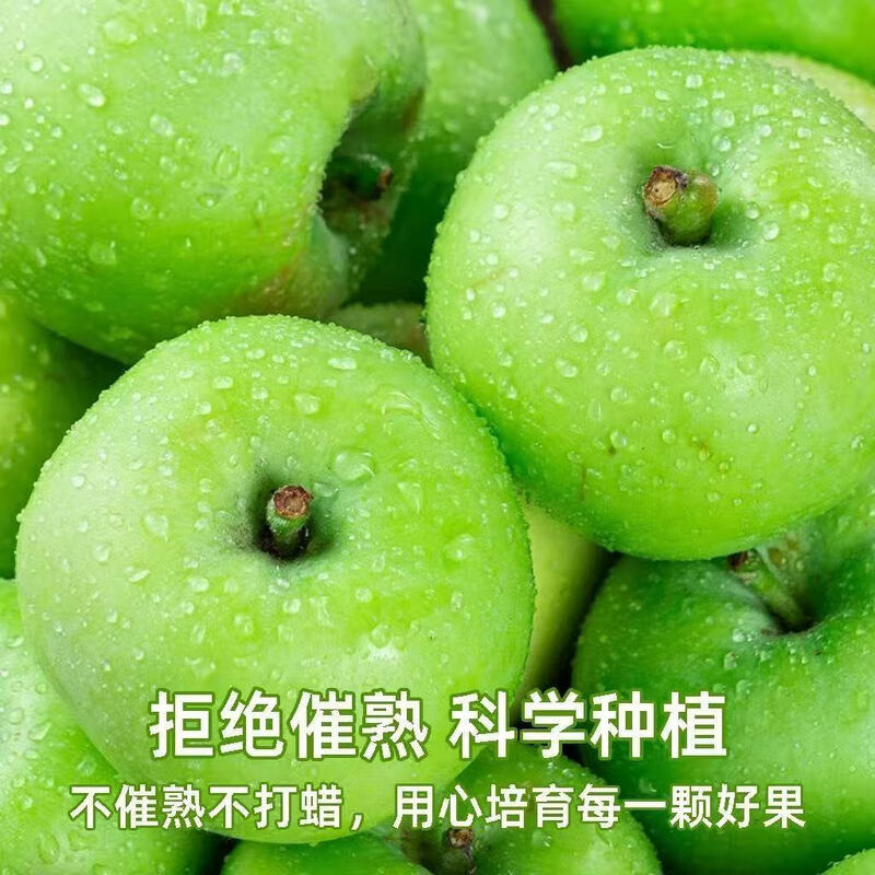 Shandong fresh green apple fruit, full box jin, seasonal green apples, free shipping, seasonal sour and crispy Ugly Pingping fruit for pregnant women, 4 jin in box (60-70mm)