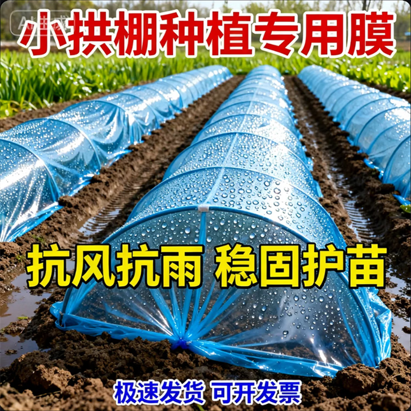 Agricultural plastic film, small shed film, dripping film, special film for greenhouse planting, transparent vegetable growing plastic, thermal insulation and cold protection 4 silk blue dripping film, new material 2.2m*15m