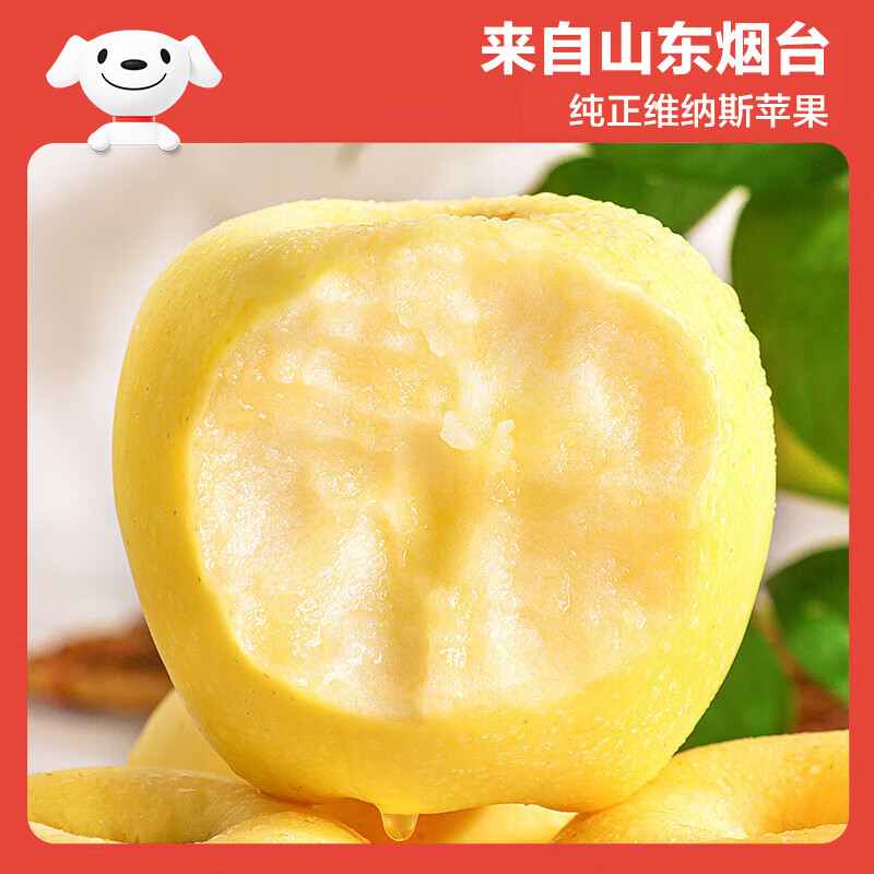 Jingxiansheng Shandong Venus apple net weight 3 catties single fruit 200g fresh fruit direct from the source with free shipping