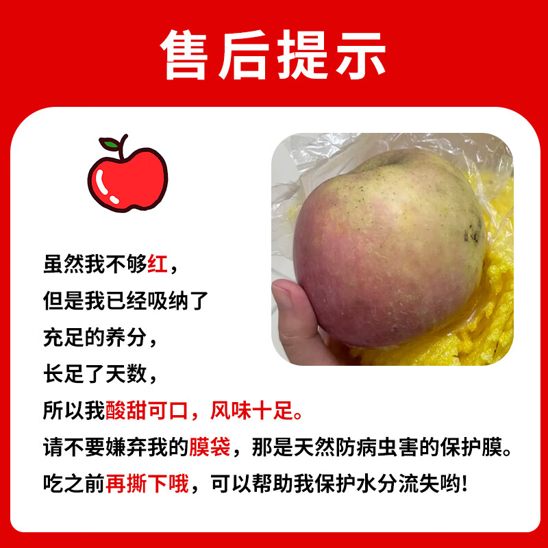 Jingxiansheng Shanxi Plateau Red Fuji Apple 8.5kg, single fruit 80-85mm, crispy and sweet mountain ugly apple, straight from the source