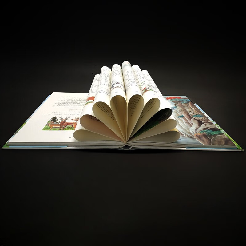 Beautifully illustrated collector's edition of world famous books Niels Riding a Goose (Hardcover) Parent-child reading for 3-6 years old Independent reading for 6-12 years old Money-saving card summer homework The connection between the first and second grades during the summer vacation The connection between the summer vacation for primary school students and junior high school students