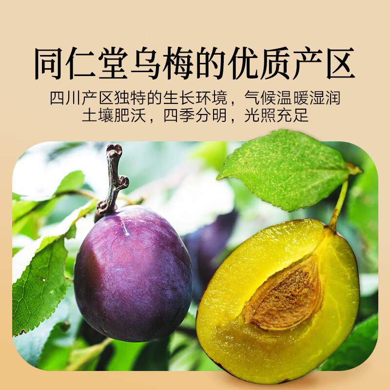 Tong Ren Tang brand Beijing Tong Ren Tang black plum dried fruit 200g smoked soaked in water for tea sour plum soup black plum soup non-Chinese medicinal materials