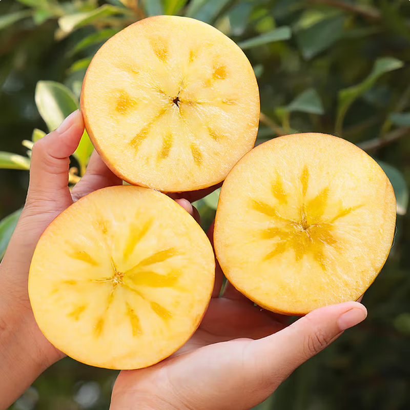 Aksu Apple Authentic Xinjiang Aksu Apple Rock Candy Heart Apple Gift Box Seasonal Fresh Fruit Great Gift Gift Net Weight 5 Jin Small Fruit (Single Fruit Approximately 70-79mm)