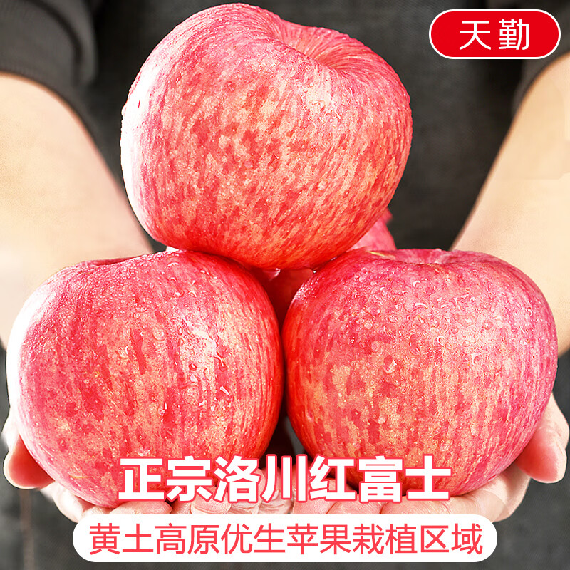 Jingdida Shaanxi Luochuan apples net weight 8.5 catties single fruit 175g + fresh red Fuji apples shipped directly from the source with free shipping