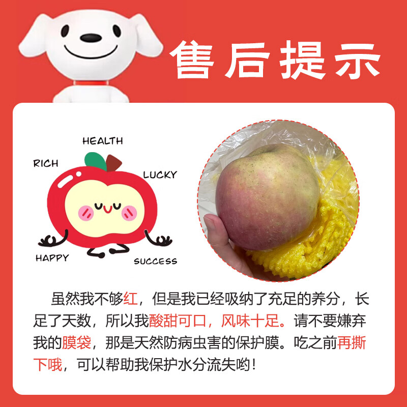 Jingxiansheng Lingbao Fuji Apple, net weight 4.5kg, single fruit 80mm+, fresh fruit, straight from the source